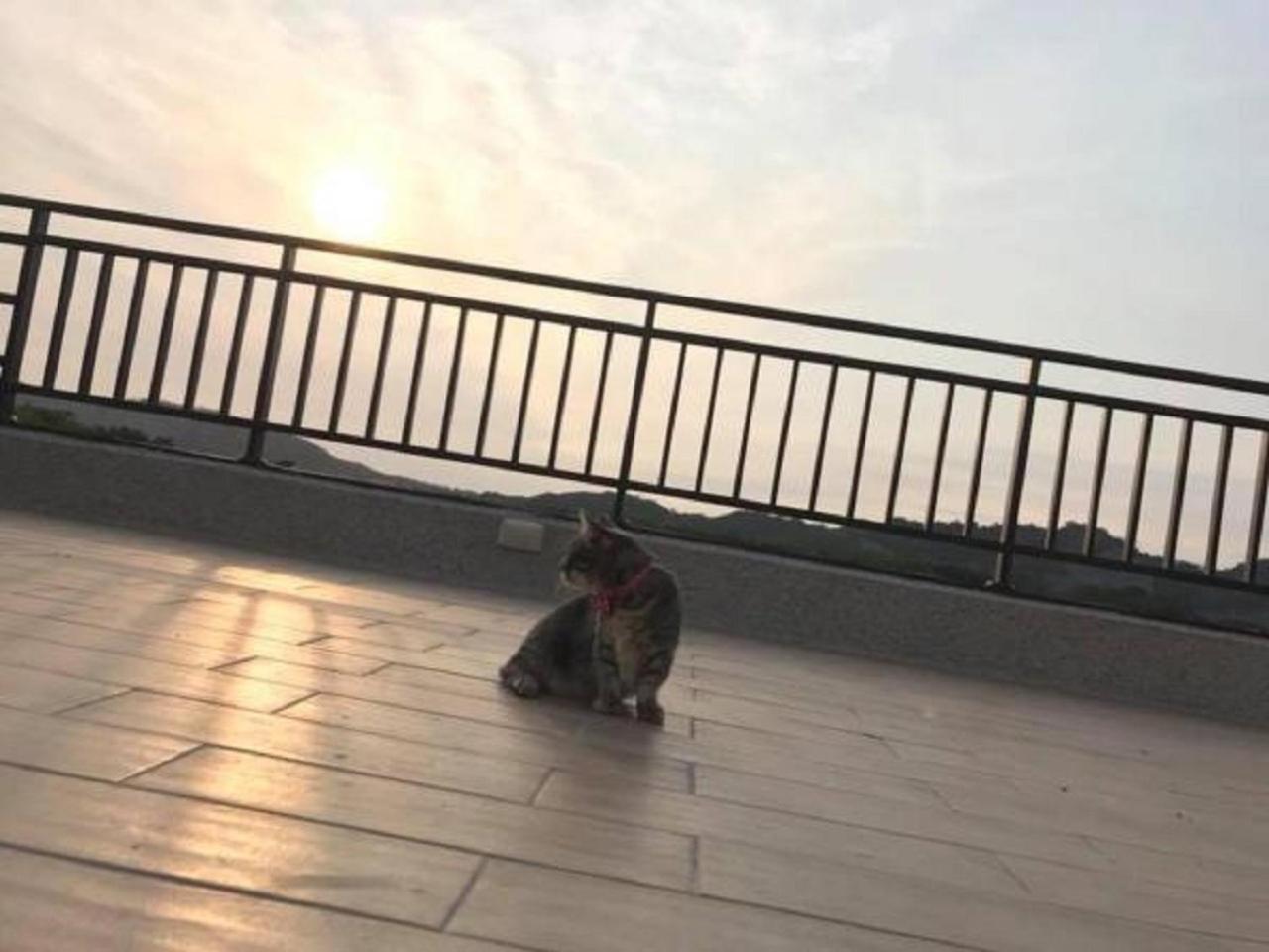 Sunny Sky Homestay Yujing Exterior foto